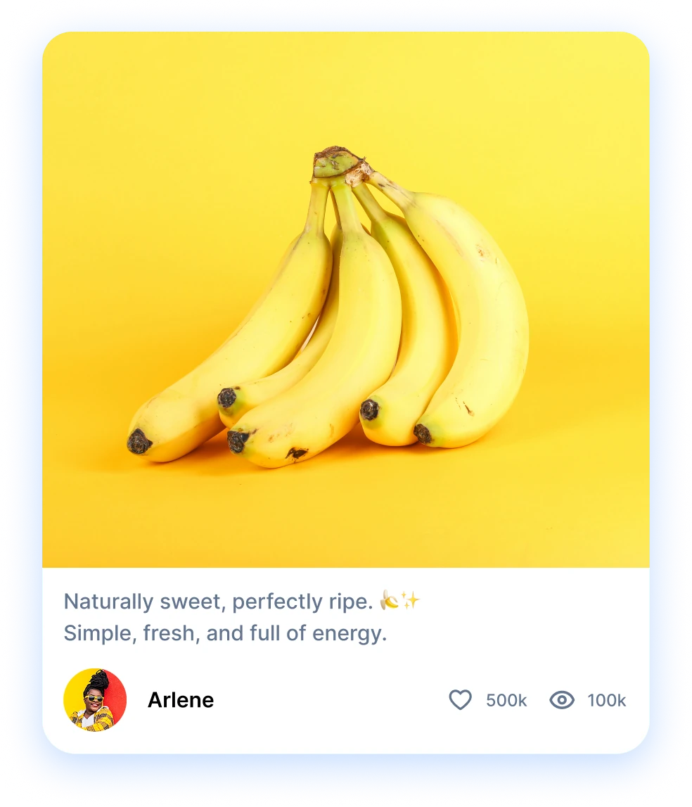 dribbble shot