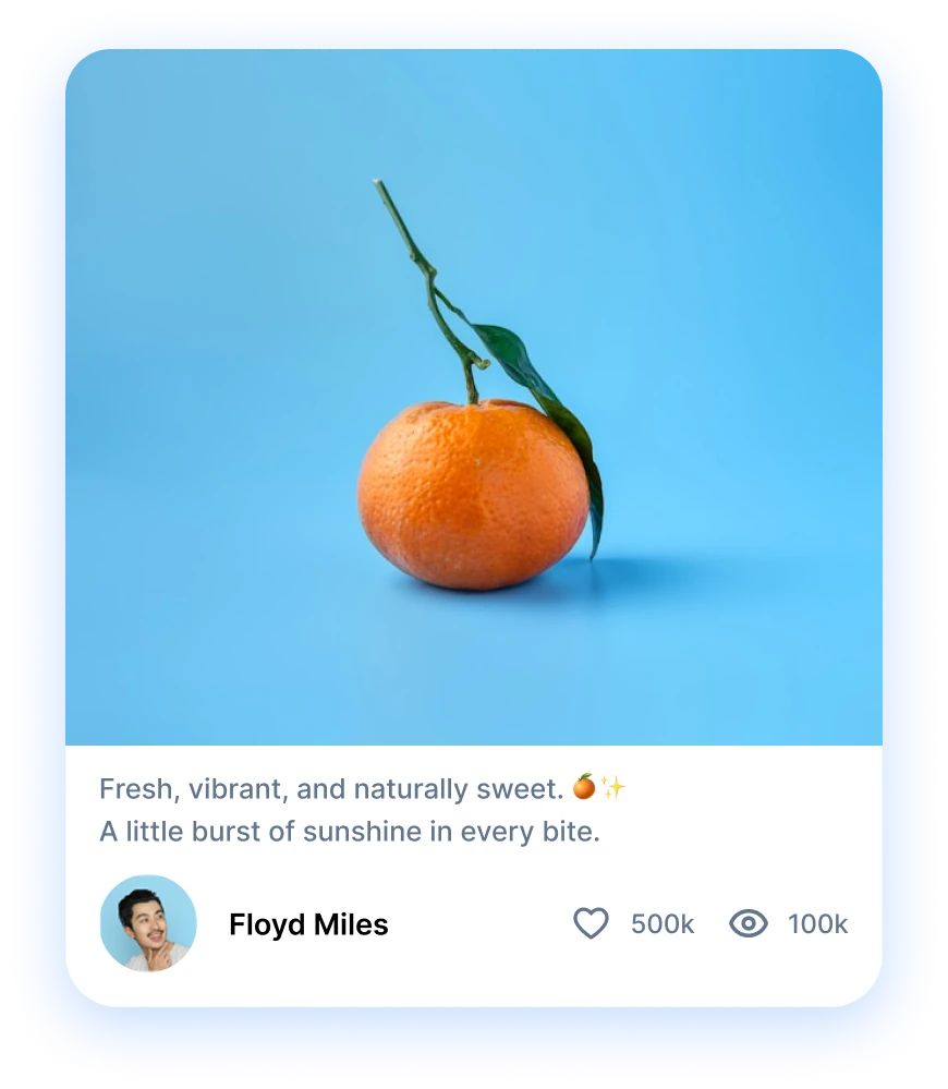 dribbble shot