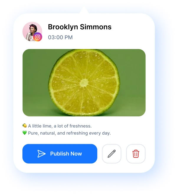 scheduled post preview