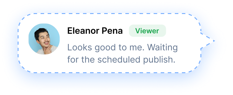 viewer comment