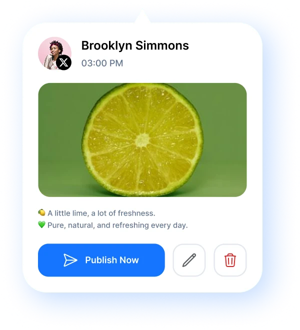scheduled post preview
