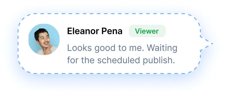 viewer comment